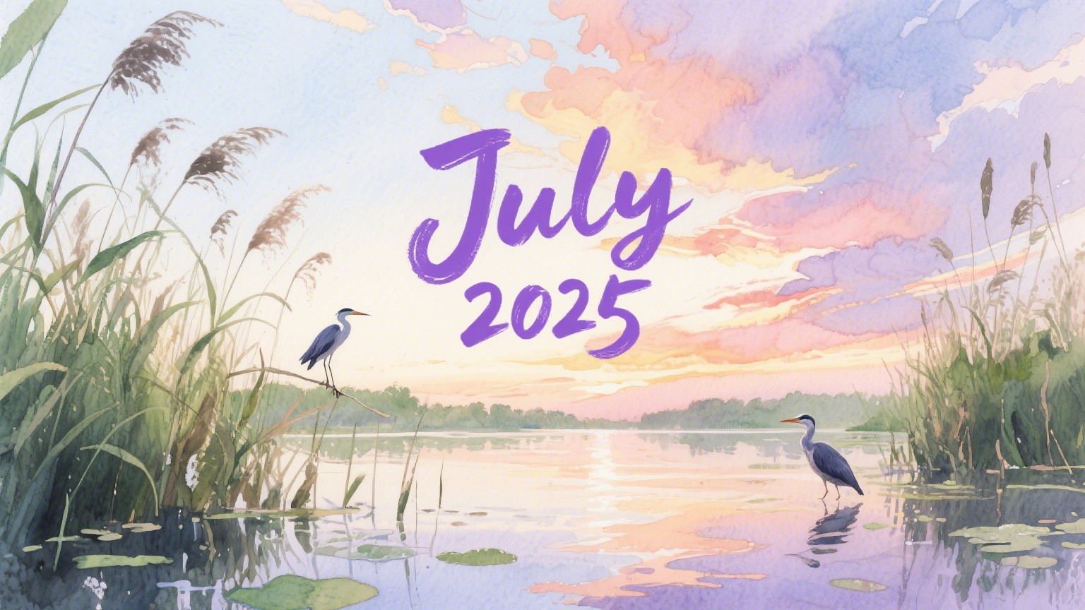 issue-2025-07